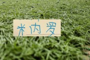开云中国官网-11号米内罗又更新训练照片 去年他可是14场联赛斩获8个球申花米神